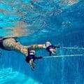 elastico per nuoto trattenuto intersport