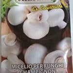 funghi champignon Penny
